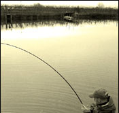 Fishing rods, wader, reel, construction's materials, hooks, fly fishing